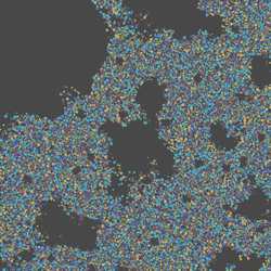 Resulting sample tree poisson disc sampling for meadow biome